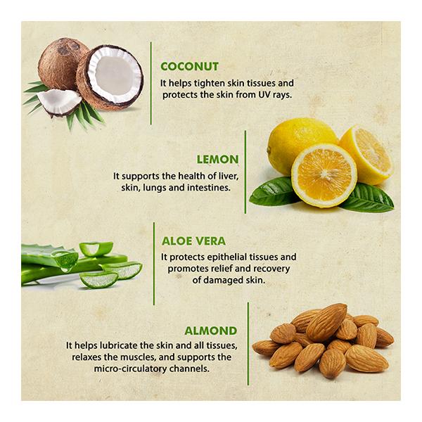 Bioayurveda Basics Miracle Moisture Toning Face Creme 120 gm - Face Moisturizers