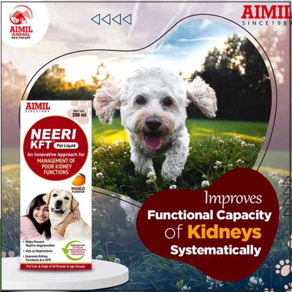 AIMIL Neeri KFT PET Liquid 200 ml - Pet Healthcare