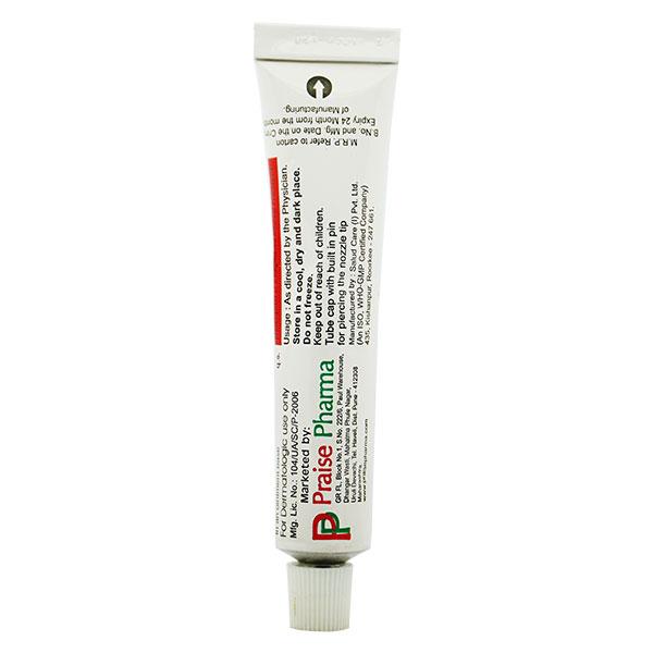 PRAISCORT S Ointment 20gm - Skin Infections-Toc