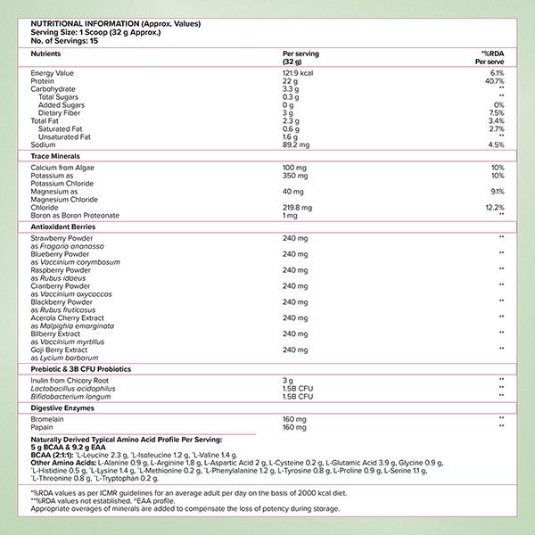 Wellbeing Nutrition Organic Vegan Plant Protein Isolate Powder - 22g Protein, 5g BCAA 500 gm - Others