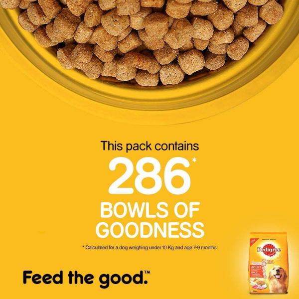 Pedigree Adult Meat & Rice 20000 gm - Petfood