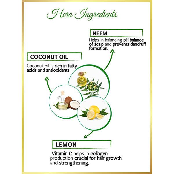 Nutrinorm Anti Dandruff Hair Oil 100 ml - Hair Oils