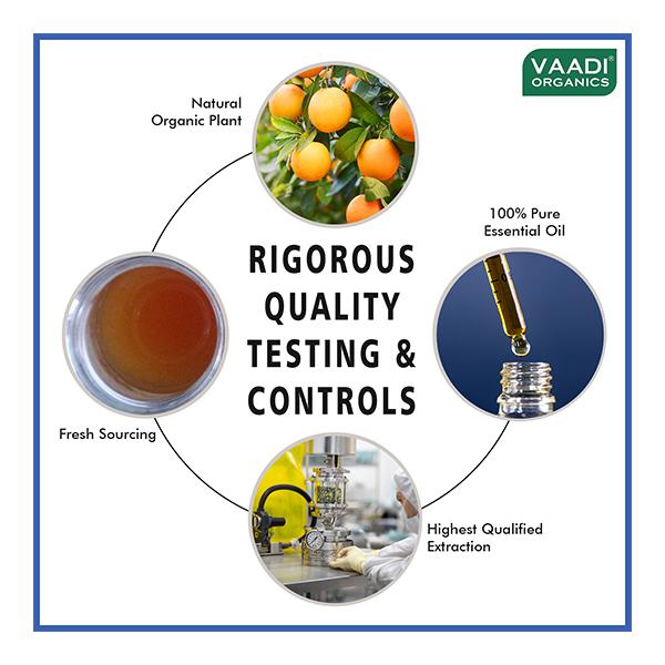 Vaadi Herbals Vitamin C Rich Fairness Facial Serum 10 ml - Face Serum