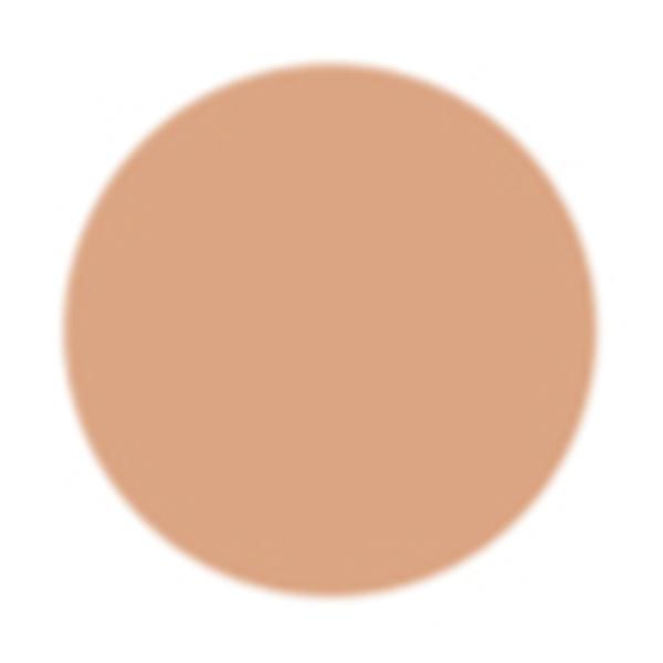PAC Take Cover Concealer 01 Beach Sand 6.8 gm - Concealer
