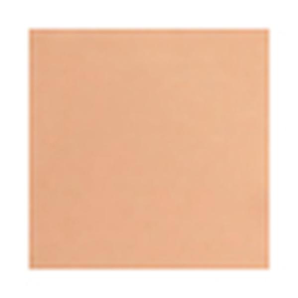 PAC Spotlight Compact Powder 01 Ivory 8 gm - Compact Powder