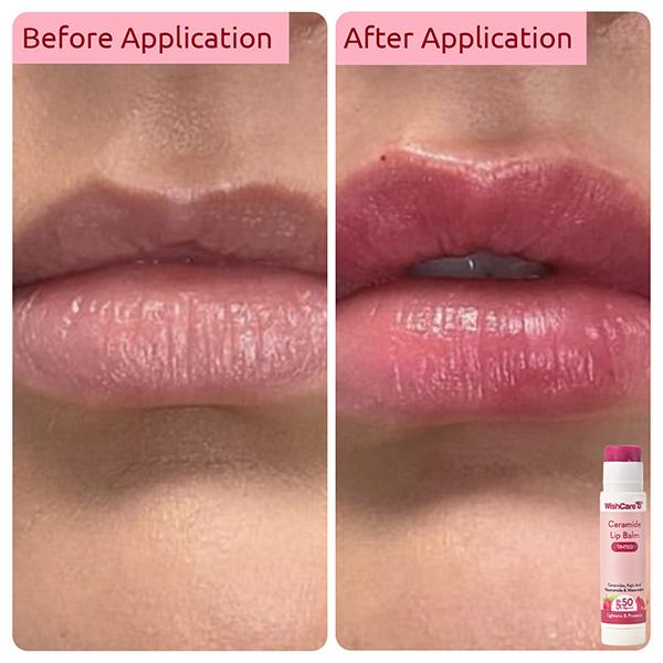 WishCare Head to Toe Sun Protection Kit with SPF 50 Niacinamide Oil Ceramide Lip Balm , SPF 50 PA+++ 1's - Face Sunscreen