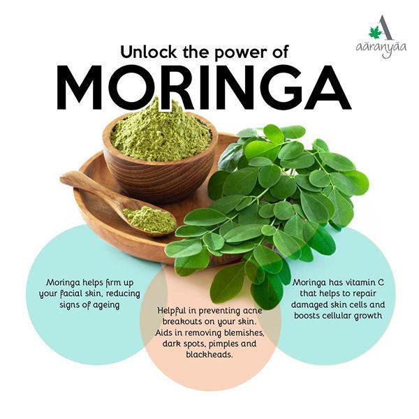 Aaranyaa Sulphate Free Face Wash Tea Tree Moringa 110 ml - Face Wash & Cleansers