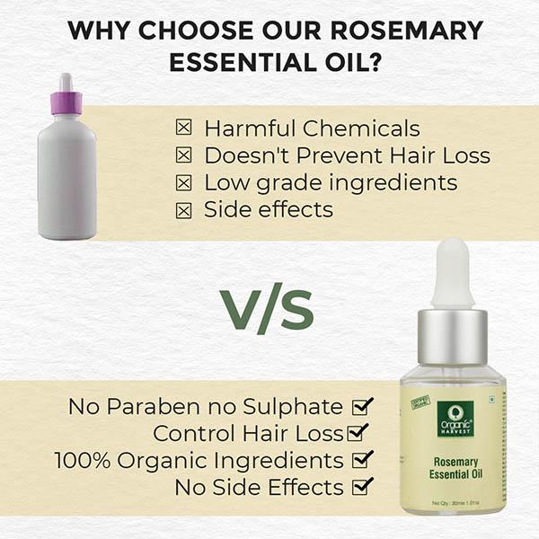 Organic Harvest Rosemary Essential Oil 30 ml - Essential Oils