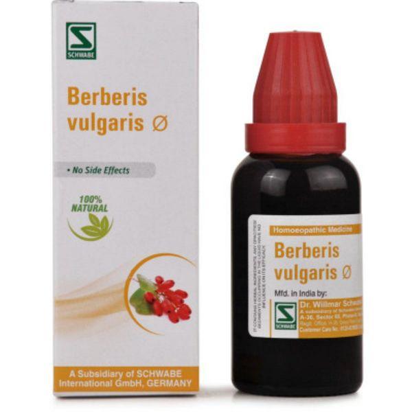 Netmeds | Dr.Willmar Schwabe Berberis Vulgaris  Drops 30 ml