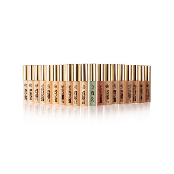 Pac Spotlight Liquid Concealer 10 Mocha 15gm - Concealer