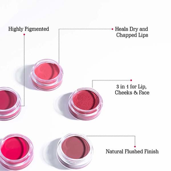 Aravi Organic Long Lasting Matte Finish Lip and Cheek Tint For Lips, Eyelid and Cheek - Coffee Queen 8 gm - Blushes