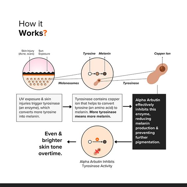 Minimalist Alpha Arbutin Face Serum 30 ml - Face Serum