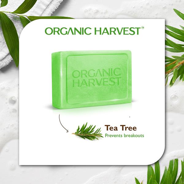 Organic Harvest Luxurious Bathing Bar - Tea Tree Soap Bar for Clear Skin, Soap to Prevent Body Acne 125 gm - Soaps