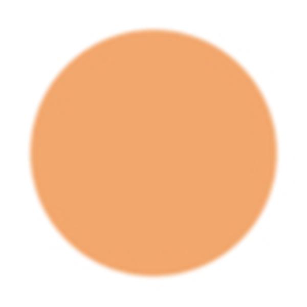 PAC Spotlight Liquid Concealer 09 Melon 15gm - Concealer