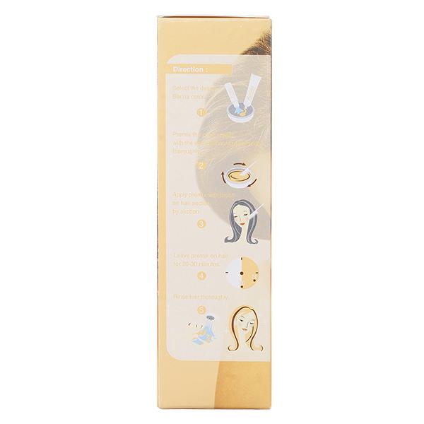 Berina A18 Golden Blonde Hair Color Cream 60 gm - Crème