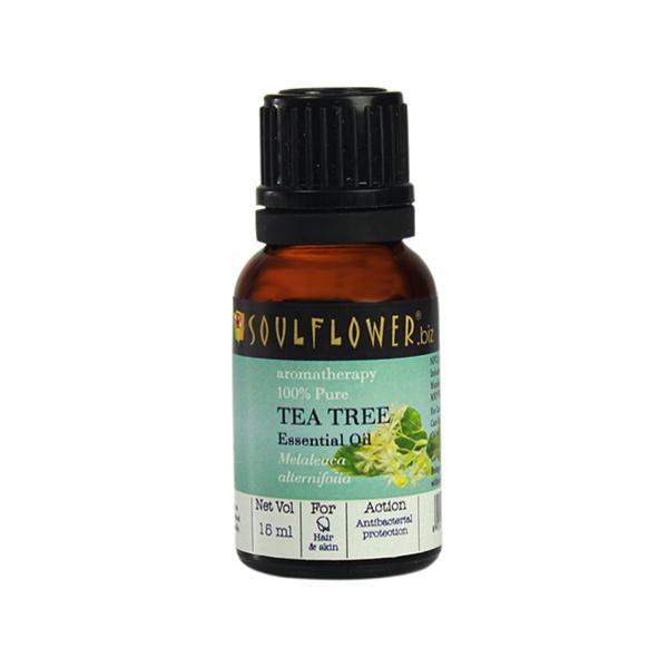 Netmeds | Soulflower Essential Oil - TeaTree 15 ml