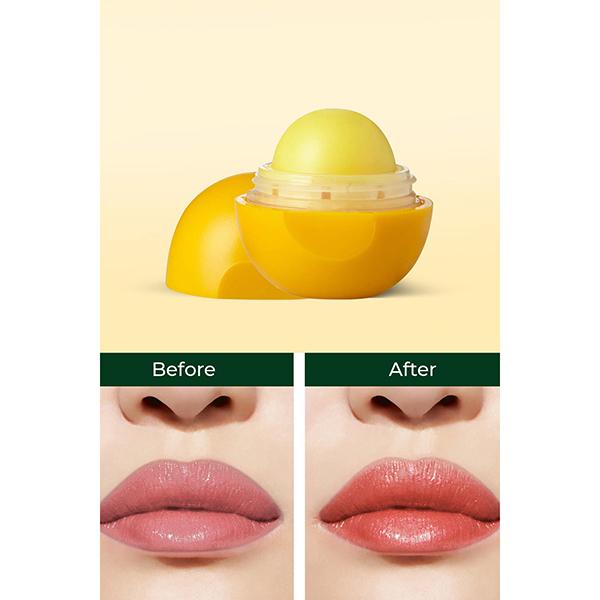 Organic Harvest Shea Butter Lip Balm 8 gm - Lip Balms