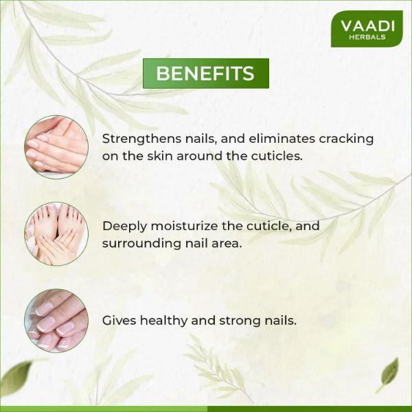 Vaadi Herbals Nail & Cuticle Oil 10 ml - Manicure & Pedicure Kits