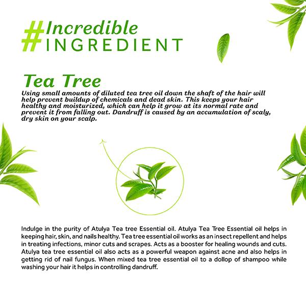 Atulya Tea Tree Essential Oil 15 ml - Hair Lotions & Tonics