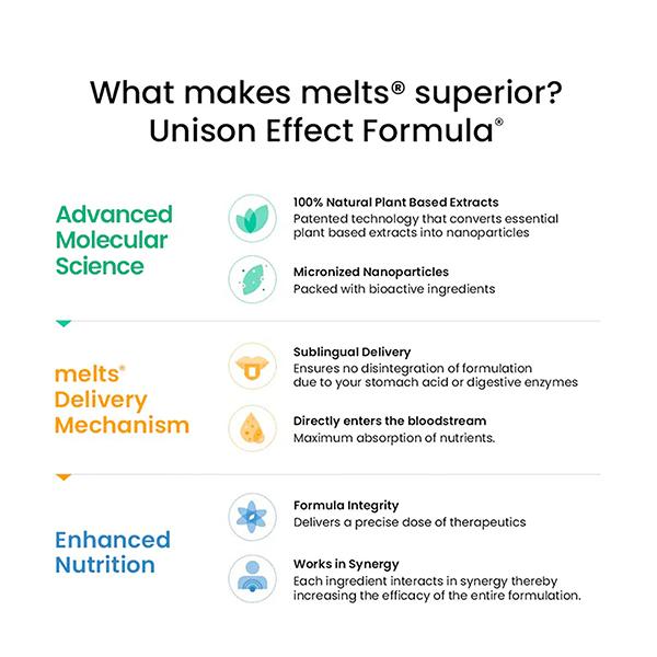 Wellbeing Nutrition Melts Healthy Gut Probiotic 10B CFU, Digestive Enzymes and FOS For Indigestion, Gas, Acidity 30 Strips - Digestive Health
