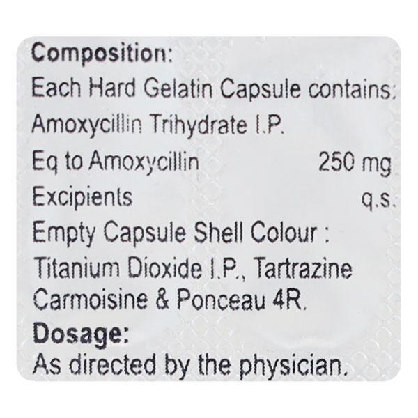 LABMOX 250 Capsule 10's - Bacterial Infections-Pen