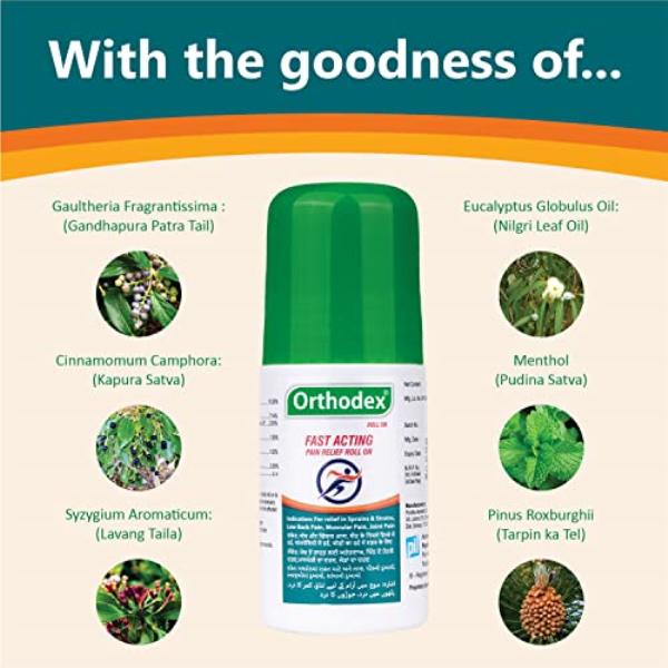 Orthodex Fast Action Roll On 100 g - Roll-On/Patch