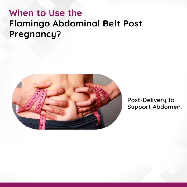 Flamingo Abdominal Belt Post Pregnancy (OC2520) (L) 1's - Back/Abdomen Supports