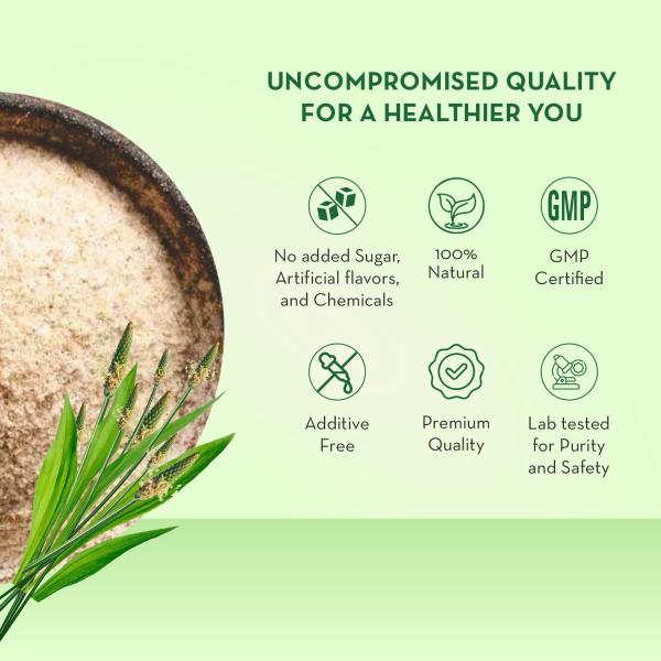 Baidyanath Isabgol Psyllium  Husk Powder 100g - Digestive Care