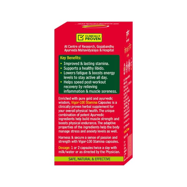 Goodcare Vigor 100 Stamina Vitality & Energy Capsule 30's - Sexual Healthcare