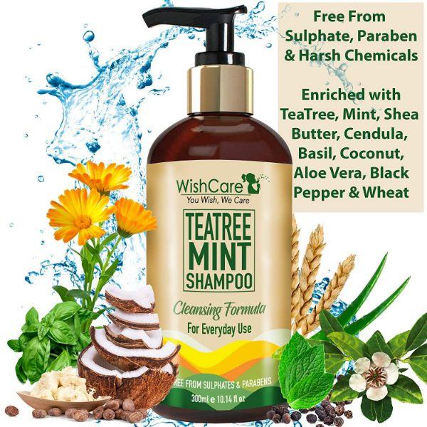 WishCare Tea Tree Mint Shampoo - Anti Dandruff Shampoo - Cleansing Formula 300 ml - Shampoos