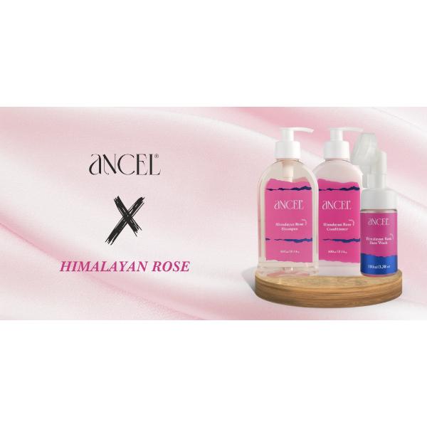 Ancel Himalayan Rose Conditioner 300 ml - Conditioners