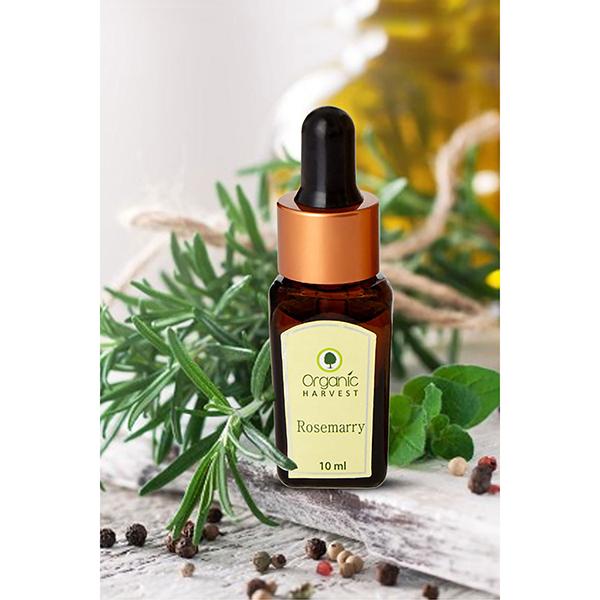Organic Harvest Essential Oil - Rosemary 10 ml - Essential Oils