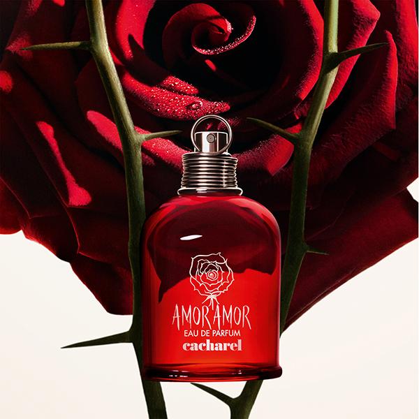 Cacharel Amor Amor Eau De Parfum 50 ml - Women Perfumes (Edt/Edp)