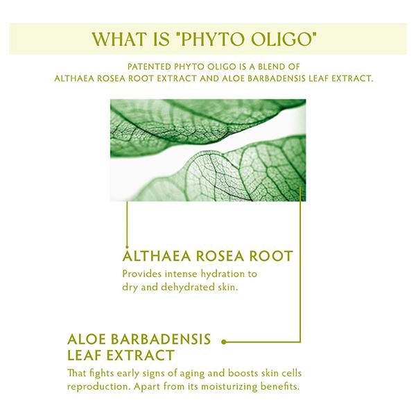 LISEN Moving Forward Light Weight Spot Corrector Gel, with Phyto Oligo for Acne, Spots 15 gm - Face Moisturizers