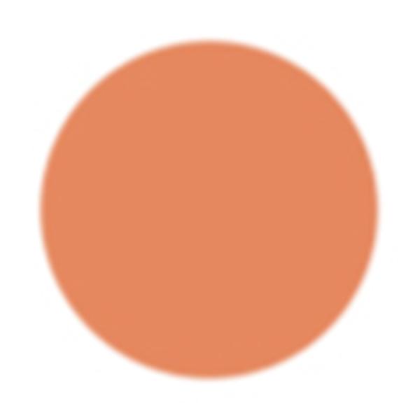 PAC Spotlight Liquid Concealer 14.5 Coco Cabana 5.5 gm - Concealer