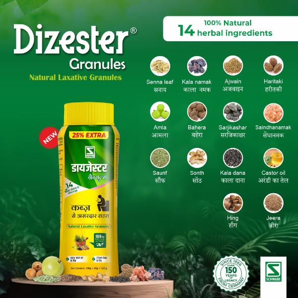 Dr. Willmar Schwabe Dizester Granules (100 g + 25 g) 125 g - Digestive Care