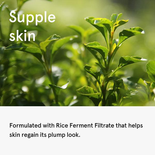 One Thing Green Tea Serum 80 ml - Face Serum