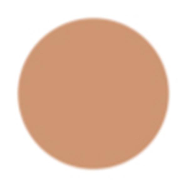 PAC Take Cover Concealer 14 Twisted Toffee 6.8 gm - Concealer