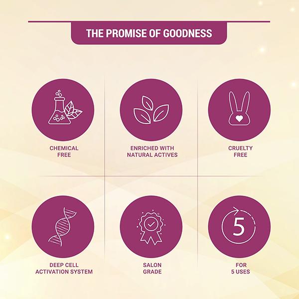 Lotus Herbals Radiant Gold Cellular Glow 5 In 1 Facial Kit 1's - Facial Kits