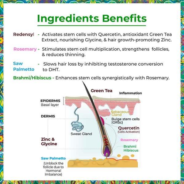 Passion Indulge Rosemary Hair Growth Serum with Redensyl, Water Based Hair Serum for Hair Growth 50 ml - Hair Serums