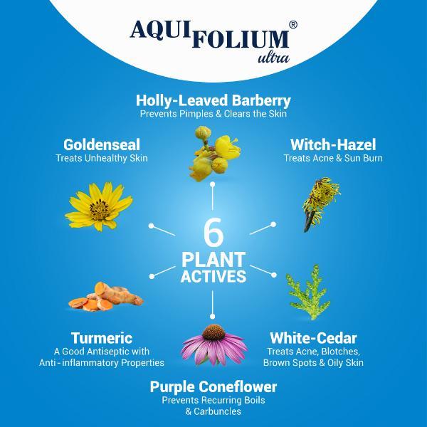 Medisynth Aquifolium Ultra Lotion 200 ml - Personal Care(Homeopathy)