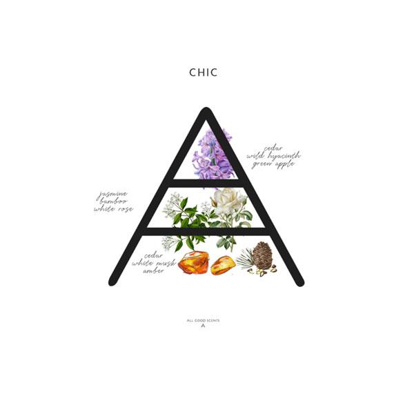 All Good Scents Eau De Toilette for Women - Chic 100 ml - Women Perfumes (Edt/Edp)