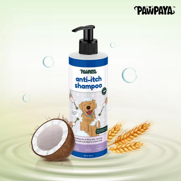 Netmeds | Pawpaya Anti-Itch Shampoo New 250 ml