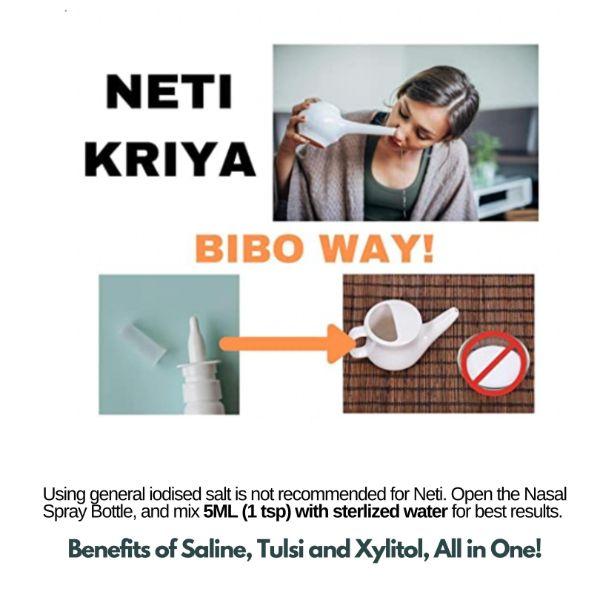 Bibo Saline Nasal Spray 15 ml - Speciality Medicines