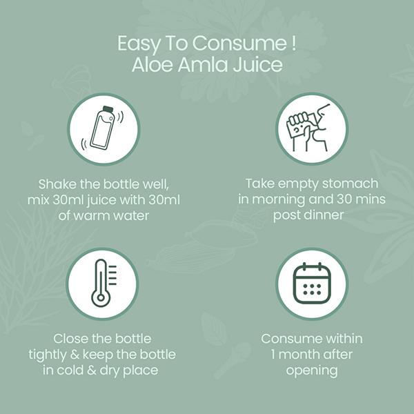 Krishna's Herbal & Ayurveda Aloe+Amla Juice 1000 ml - Ayurvedic Juices