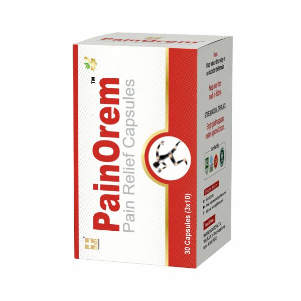 Repl Painorem Pain Relief Capsule 30's