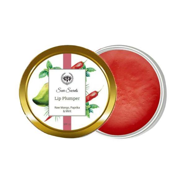Seer Secrets Raw Mango, Paprika & Mint Lip Plumper 15 gm