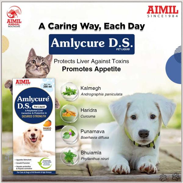 AIMIL Amlycure D.S. PET Liquid 200 ml - Pet Healthcare