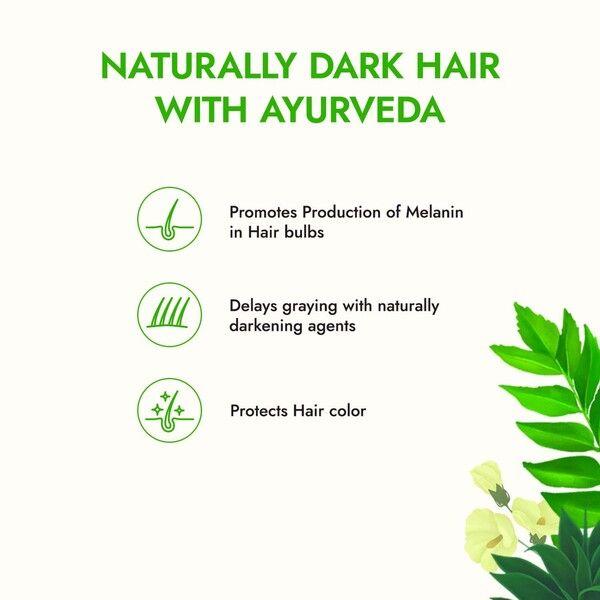 Kapiva Hair Rituals Grey Control Hair Oil - Curry Leaf 200 ml - Hair Oils
