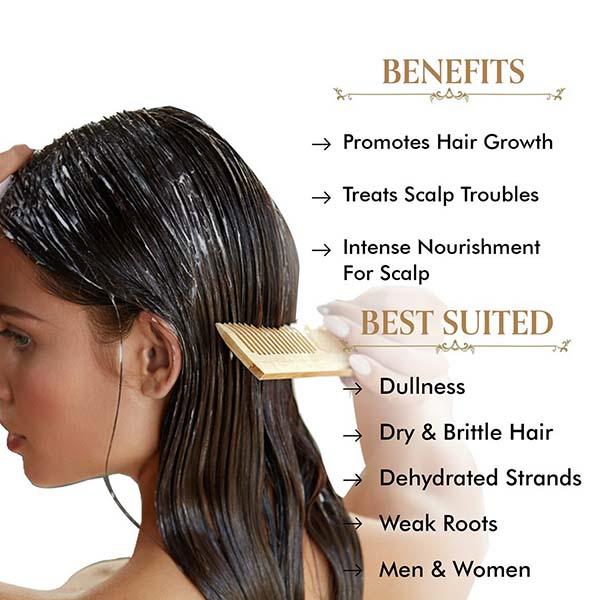 TAC The Ayurveda Co. Miraculous Methi, Bhringaraj and Amla Hair Mask 200 gm - Personal Care (Ayush)